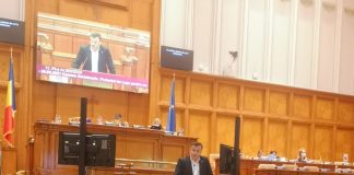 REACȚIE! Deputatul Avrămescu: „Sunt evidente „scăpările” procedurale dacă s-a ajuns în situația în care un polițist să accidenteze două copile și un altul să meargă în uniformă la prostituate.”