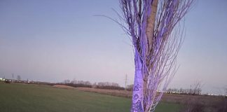 (FOTO) Accident la Vernești. Doi bărbați, răniți după ce s-au izbit cu mașina de un copac