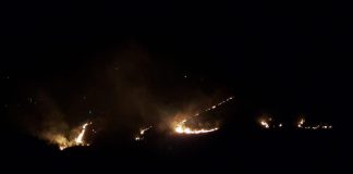 Se caută PIROMANUL! Incendiu puternic în miez de noapte, la Scorțoasa