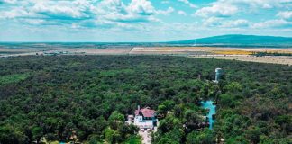 Ultimă oră! „Un moment istoric!”. Pădurea Crângului a trecut în proprietatea Primăriei