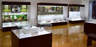 Piese unicat la Muzeul Județean Buzău