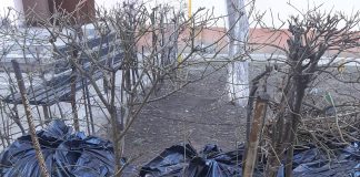 (FOTO) Ce faceți cu sacii neridicați? Vicele Apostu, anunț în atenția asociațiilor de proprietari