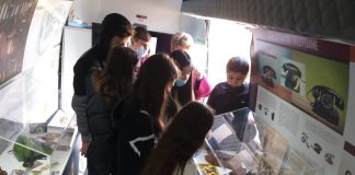 (FOTO) Museum Bus, noi popasuri la școlile din județ