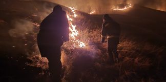 (FOTO) Flăcările s-au extins pe sute de hectare. Prefectul, la fața locului