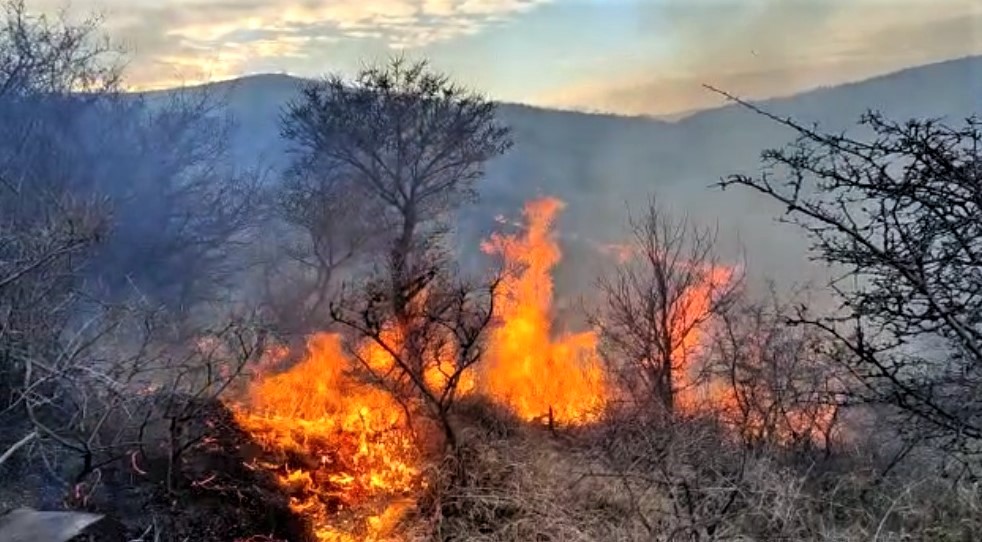 ps incendiu de vegetatie