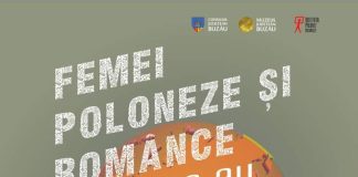 EXPOZIȚIE. Lucrările, expuse pe gardul Muzeului Județean