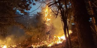 (FOTO/UPDATE) Cel mai mare incendiu! Mobilizare de forțe, la Breaza