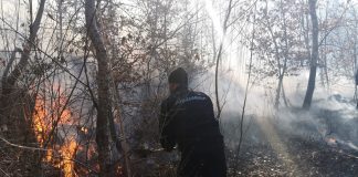 Incendiu lichidat. Intervenția a durat aproape 9 ore. Cauza: acțiune intenționată