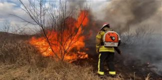 (VIDEO) Un nou val de incendii. Stop arderilor necontrolate!