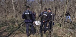 ȘOCANT! Zeci de pisici moarte, descoperite în Parcul Crâng