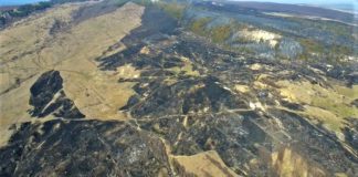 (VIDEO) Imaginile prăpădului, surprinse din dronă
