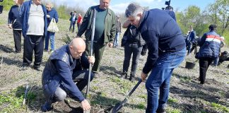 (FOTO) Marcel Ciolacu, acțiune de împădurire la Frasinu