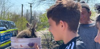 (FOTO) Surpriză! Polițiștii le-au adus iepurași