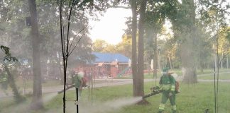 BUZĂU. Începe campania de dezinsecție împotriva căpușelor. Unde se va acționa