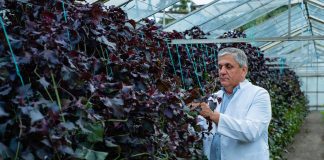 „De mâine nu mai sunt de găsit la Stațiunea de Cercetare”. Anunțul cercetătorului Costel Vînătoru