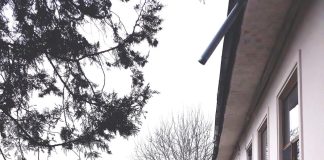 CISLĂU. Ședință extraordinară pentru proiecte la două școli