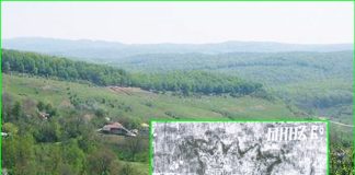 Editarea cărții „Doamna Neaga din Cislău, regină a Țării Românești”, sprijinită de Primărie