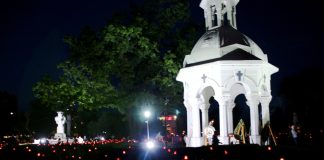 (FOTO) IMPRESIONANT! O candelă și o floare, la fiecare cruce din Cimitirul Eroilor