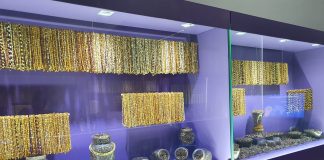 O „expoziție de contrabandă”, la Muzeul Județean. Chihlimbar confiscat de DIICOT