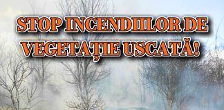Incendiile de vegetație continuă. Apelul ISU Buzău