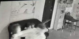 (VIDEO/FOTO) „Părinții lor nu au mai putut privi imaginile”. Dezastru după majorat, într-un hotel din Vernești