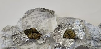 (FOTO) Opt tineri buzoieni, prinși cu droguri, în cadrul activităților jandarmilor buzoieni