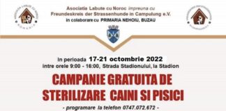 Campanie gratuită de sterilizare a animalelor, la Nehoiu. Când se va desfășura activitatea