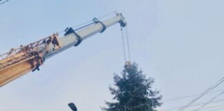 (Galerie FOTO) A fost montat la Obelisc. Povestea bradului de Crăciun