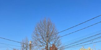 (FOTO) Fix pe „zebra” din fața școlii