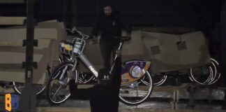 (VIDEO) Au sosit bicicletele din Germania. Sunt 485