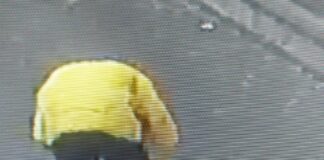 Hoț prins pe cameră. Polițiștii locali râmniceni au recuperat prejudiciul