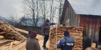 Razie printre transportatorii și comercianții de lemne. Ce au descoperit polițiștii buzoieni