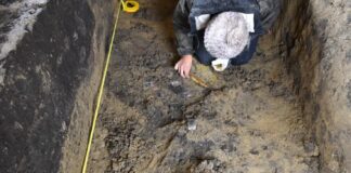 (VIDEO) Mormânt princiar al unui războinic, descoperire arheologică de excepție, pe autostrada Ploiești – Buzău