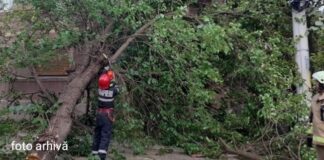 Încă un copac doborât de vânt. A căzut peste o casă. Misiune a pompierilor, în cartierul Dorobanți