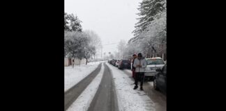 (FOTO) Trafic blocat la Ojasca, din cauza unui TIR. Șoferii așteaptă în coloană