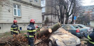 (VIDEO/FOTO) Copac căzut peste patru mașini. Incidentul s-a produs în cartierul Obor