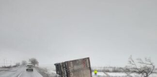 Incidente în trafic semnalate de Poliția Buzău