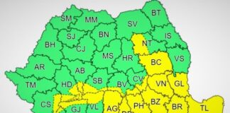 Vin ninsorile. Județul Buzău, vizat de cod galben