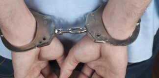 De la furt de struguri, în arest. Tânăr din Merei, recidivist, prins de polițiști