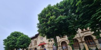 Concursul Național ,,Margareta Sterian”, la start. Liceul de Arte găzduiește competiția