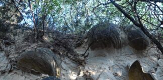 (Galerie FOTO) Ciupercile de Odăile. Noi trovanți în județul Buzău