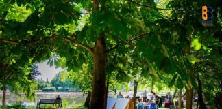 Școala din Parc din Buzău, marcă înregistrată