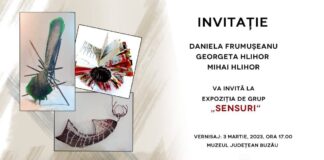 ,,Sensuri”, la Muzeul Județean. Expoziție de artă decorativă. Intrarea este liberă