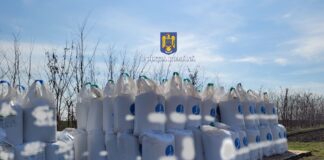 (FOTO) Confiscări. Aproape 130 de tone, ridicate de polițiștii de la Biroul Arme, Explozivi și Substanțe Periculoase