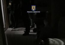 Partener al interlopoului Tyson, fost consilier local, săltat de mascați. Nichițelea, arestat și extrădat