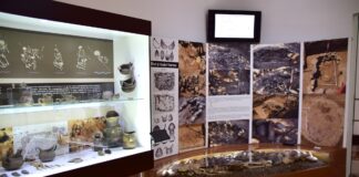 (FOTO) Obiecte vechi de 5000 de ani, la Muzeul Județean, din epoca bronzului