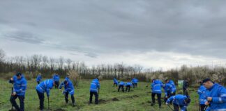 (FOTO) Jandarmii buzoieni, acțiune de plantare de arbori, la Frasinu