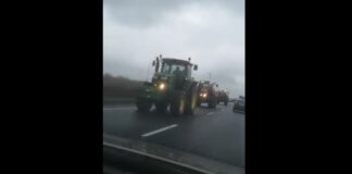(VIDEO) Protestul fermierilor buzoieni, pe E85 și la Casa Albă