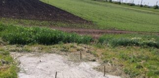 (FOTO) Dispar bănci și mese din parcările de pe marginea drumului. Mesajul DRDP Buzău