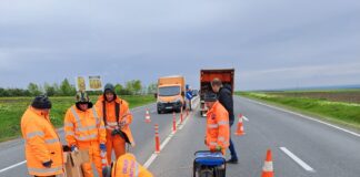 (FOTO) Unde au apărut stâlpișori pe E85. Noi măsuri de siguranță pe ,,șoseaua morții”